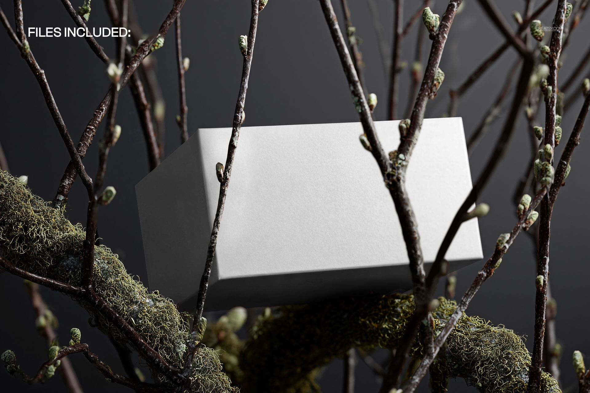 Rectangular paper box mockup displayed among mossy tree branches against a dark background, front side visible.