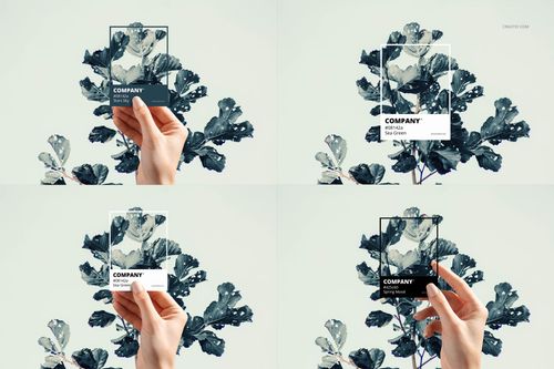 Four color swatch cards held by hand, each with unique design, set against a leafy plant background in a mockup scene.