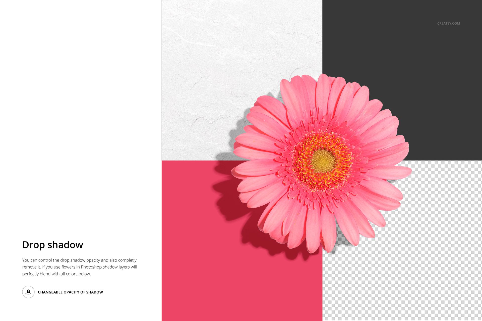 Gerbera flower mockup shown in top view, positioned over a four-quadrant background with drop shadow effect.