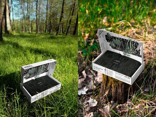 Mailing box mockup with black interior and white exterior featuring leaf patterns, displayed in a forest setting.
