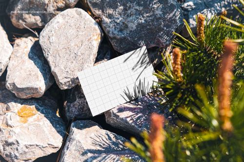 Rectangular business card mockup with grid pattern placed on gray rocks next to green conifer branches in sunlight.