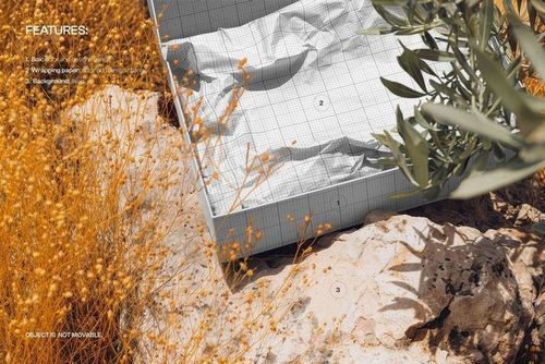 PSD mockup of an open gift box with tissue paper on a sunlit stone surface, featuring natural foliage and grass.