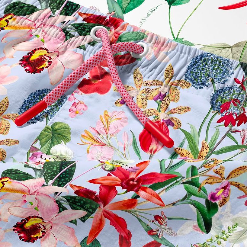 Exotic Orchids by Tashi Studio - Files in Use example