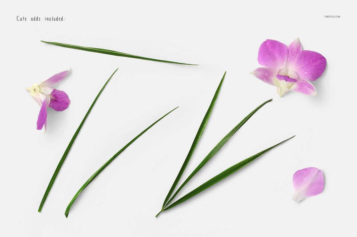 Flat lay of orchid flowers, pink petals, and long green leaves arranged on a white background for a mockup scene.