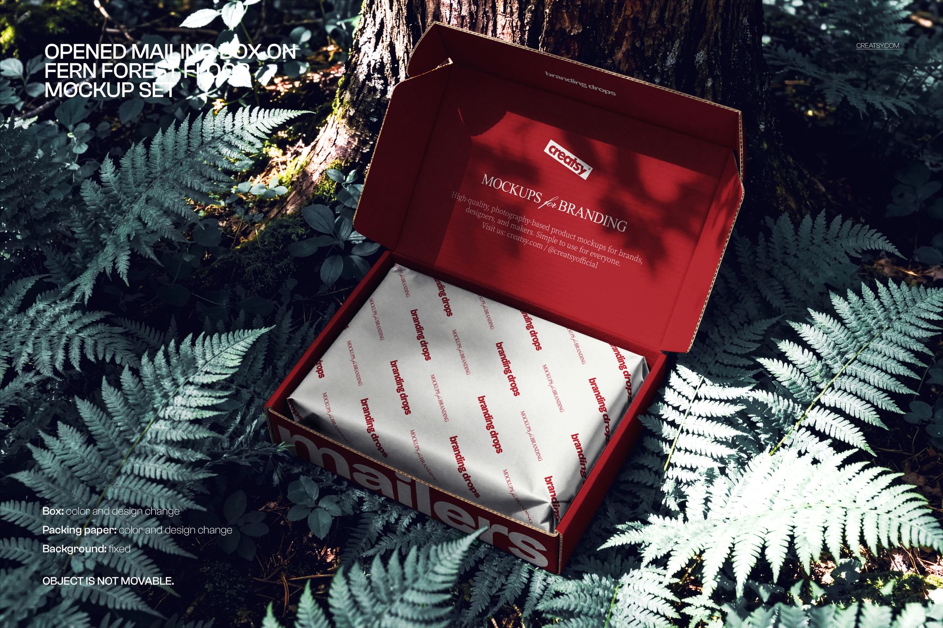 Red cardboard mailer box mockup with printed wrapping paper shown among lush green ferns outdoors, top perspective.