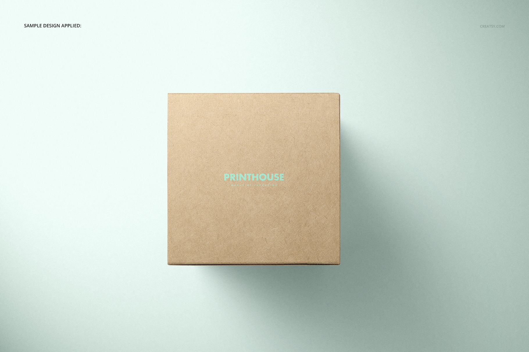 Top view of a plain brown kraft tuck top box mockup, centered against a soft light green surface.