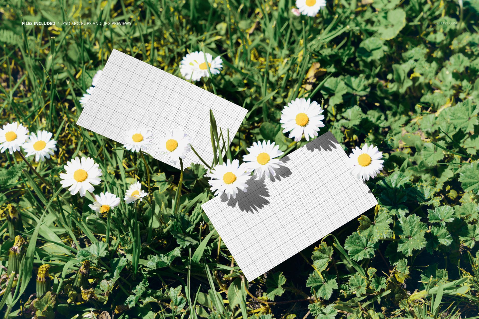 PSD mockup showing two blank business cards placed on grass with blooming white daisies, viewed from above.