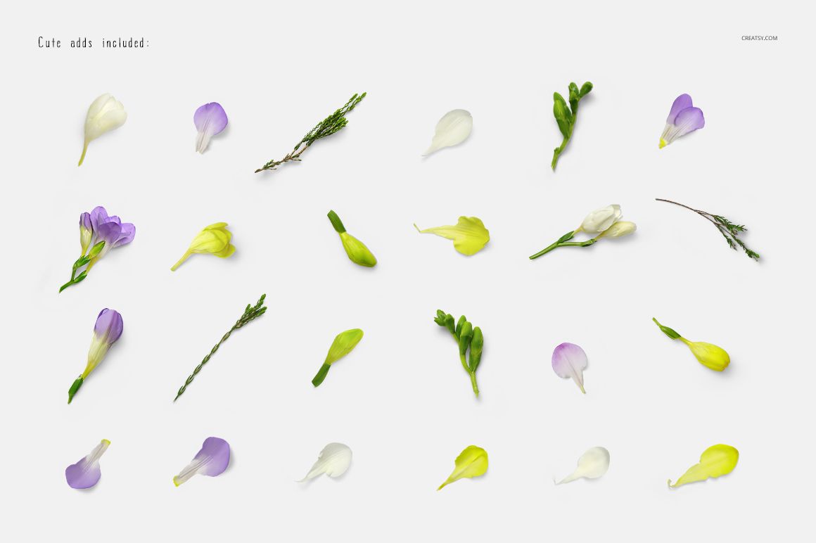 Assorted small flower petals and sprigs arranged in rows on a white background, viewed from above.