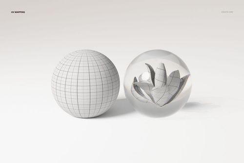 Front view of two spherical 3D models on a light background, one with wireframe lines and one with a preserved flower inside.