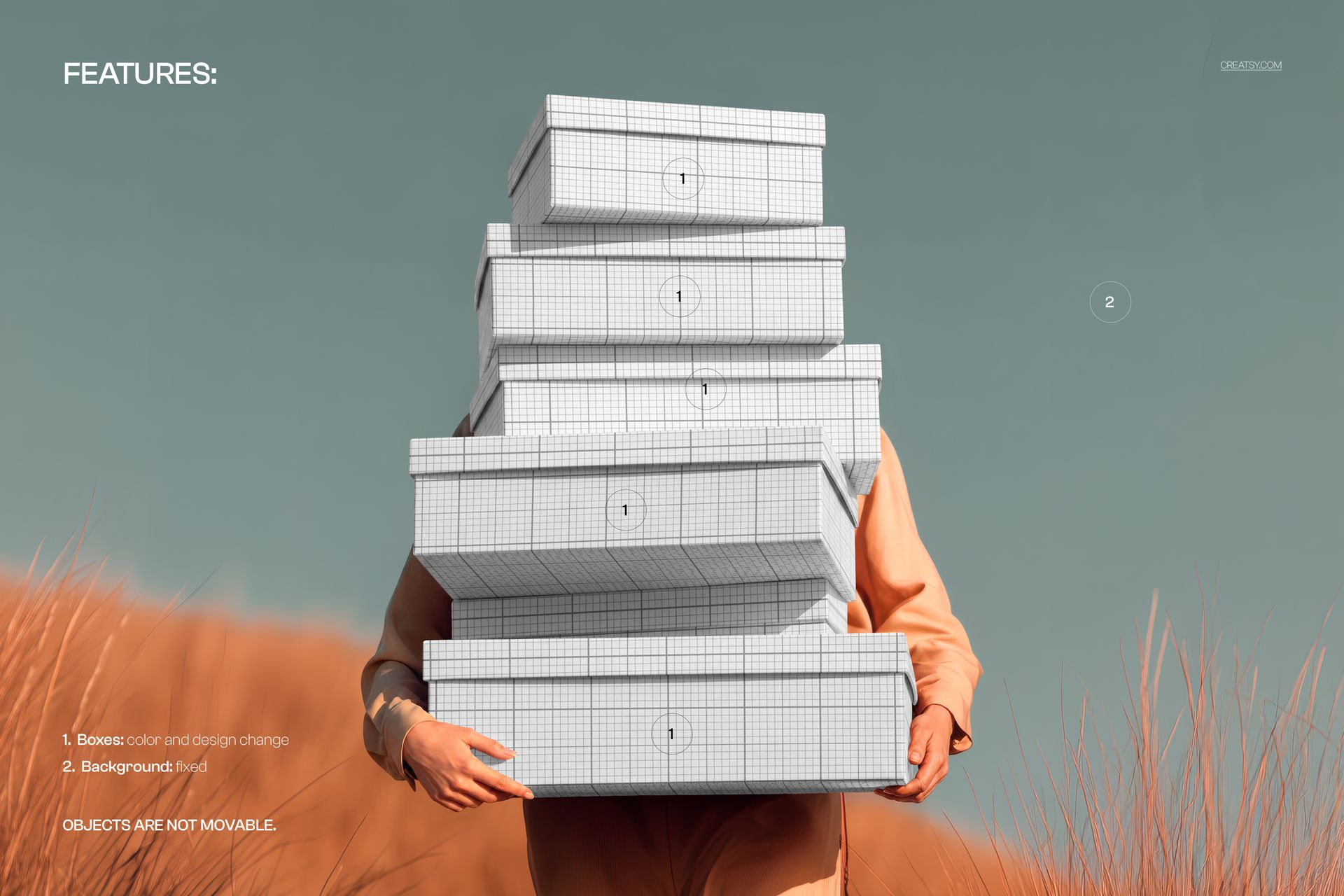 Front view of a woman holding a tall stack of rectangular shoe boxes in a pampas grass field, PSD mockup scene.