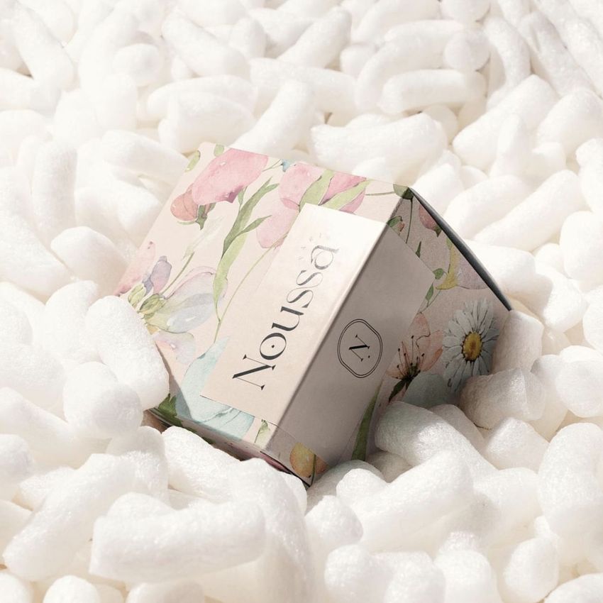 Noussa Paris  by Fatima Mughal  - Files in Use example