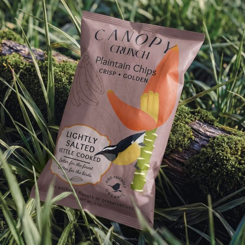 Paper chips bag mockup featuring a plantain chips package resting on a mossy log outdoors, surrounded by green grass.