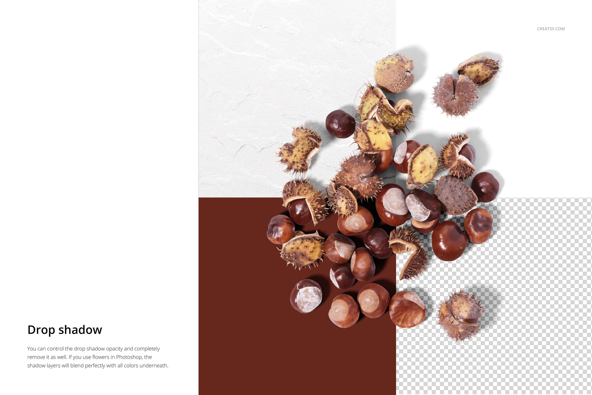 PSD mockup featuring various chestnuts and spiky shells, shown in a flat lay on a multi-colored backdrop.