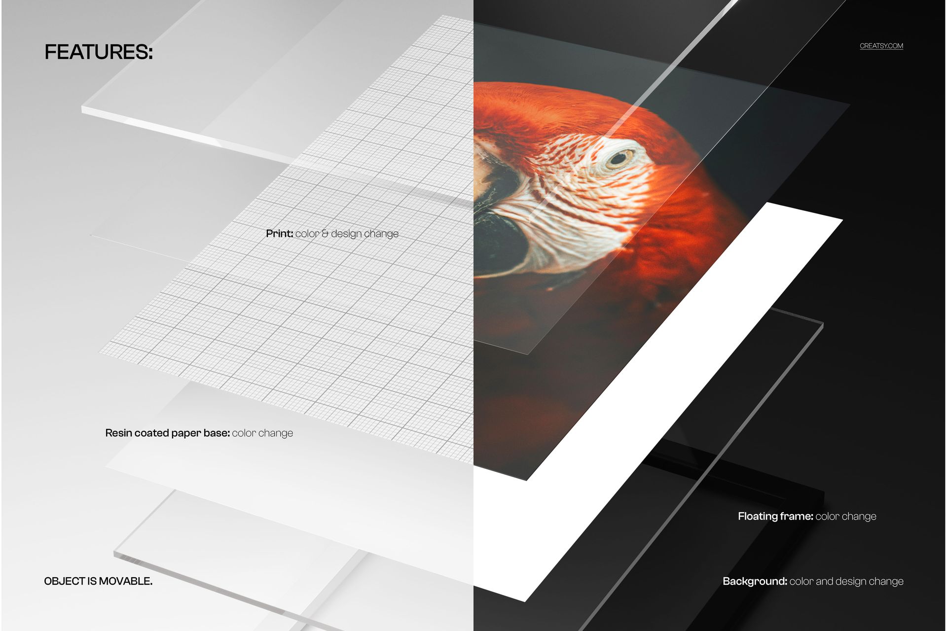 Front view of an acrylic photo print mockup showing floating layers with a parrot image and matte finish.