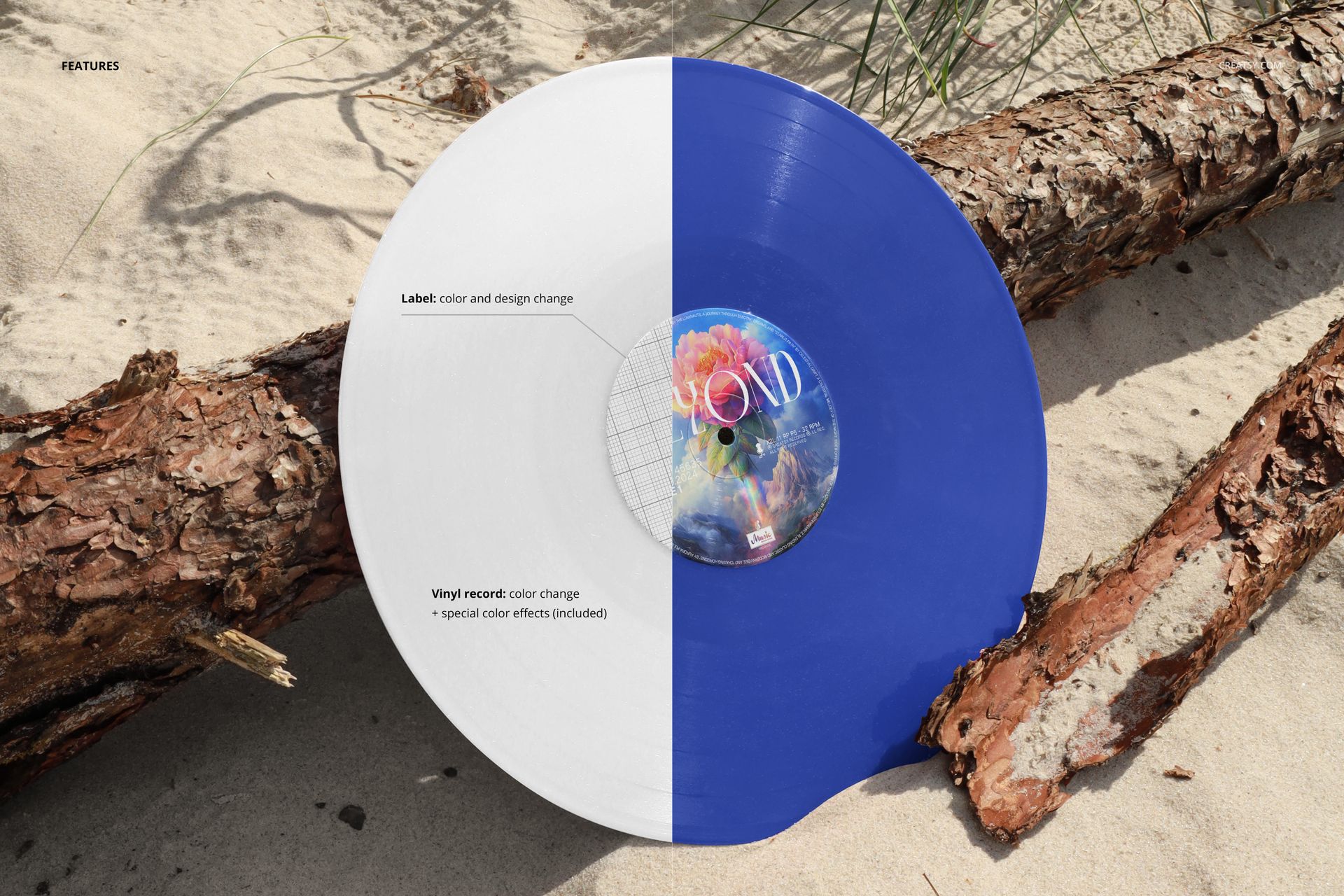 Colored vinyl record mockup showing a split white and blue disc resting against a dry wood branch on sandy ground.