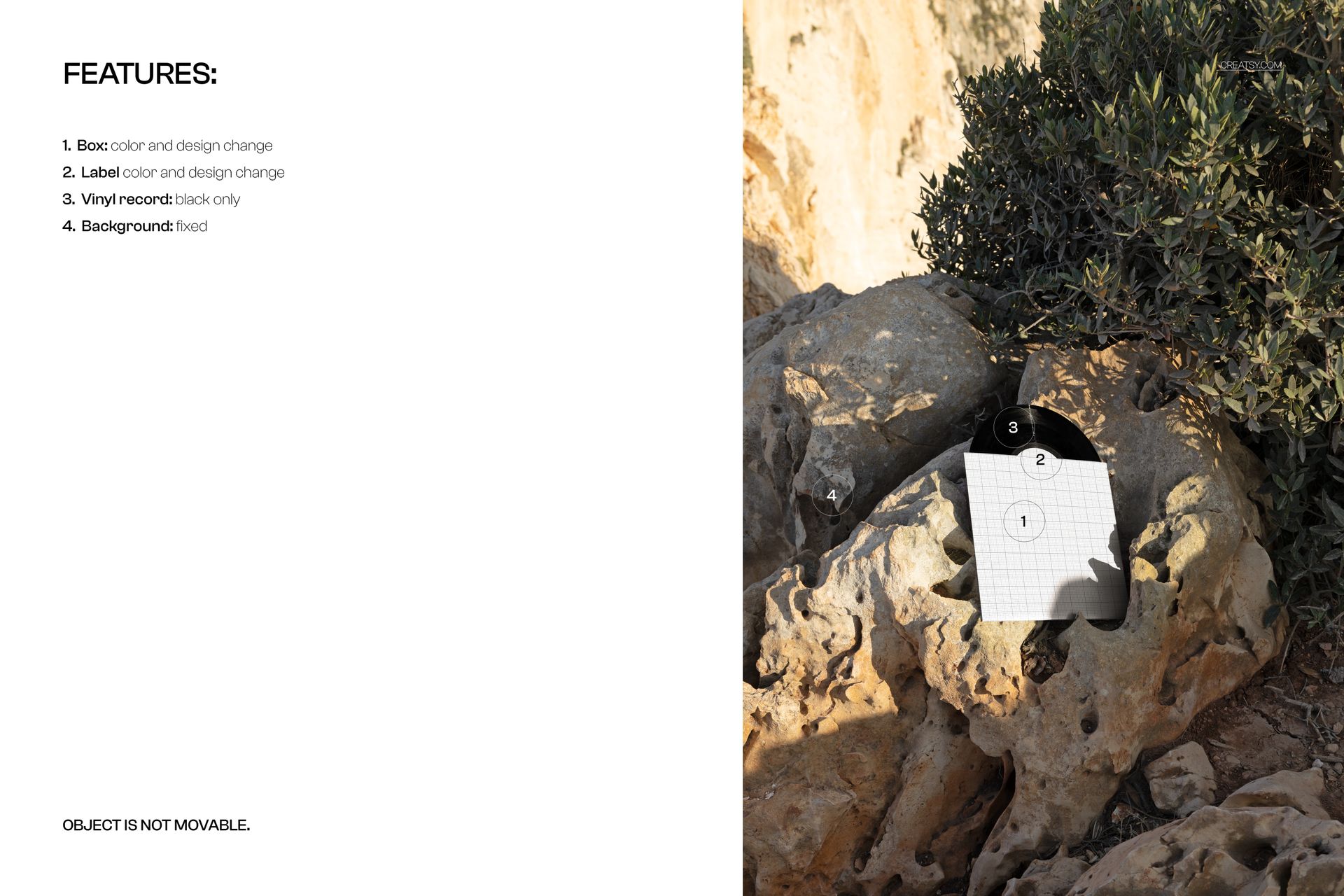 Black vinyl record mockup leaning against large textured rocks with green shrubbery in natural outdoor setting.