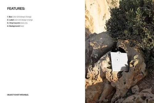 Black vinyl record mockup leaning against large textured rocks with green shrubbery in natural outdoor setting.