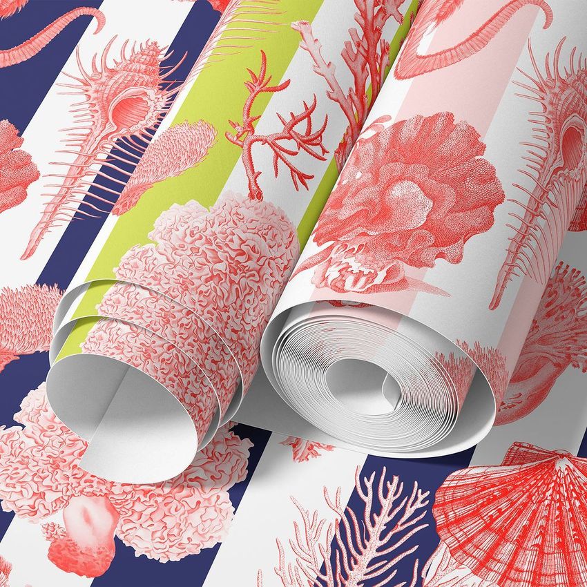 Coral Luxe II by Tashi Studio - Files in Use example