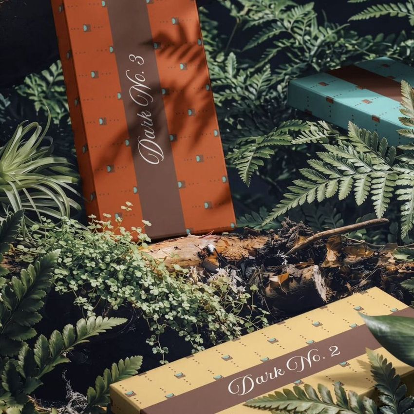 Chocolate box mockup featuring three rectangular packages in earthy colors, placed among ferns and greenery in a forest setting.