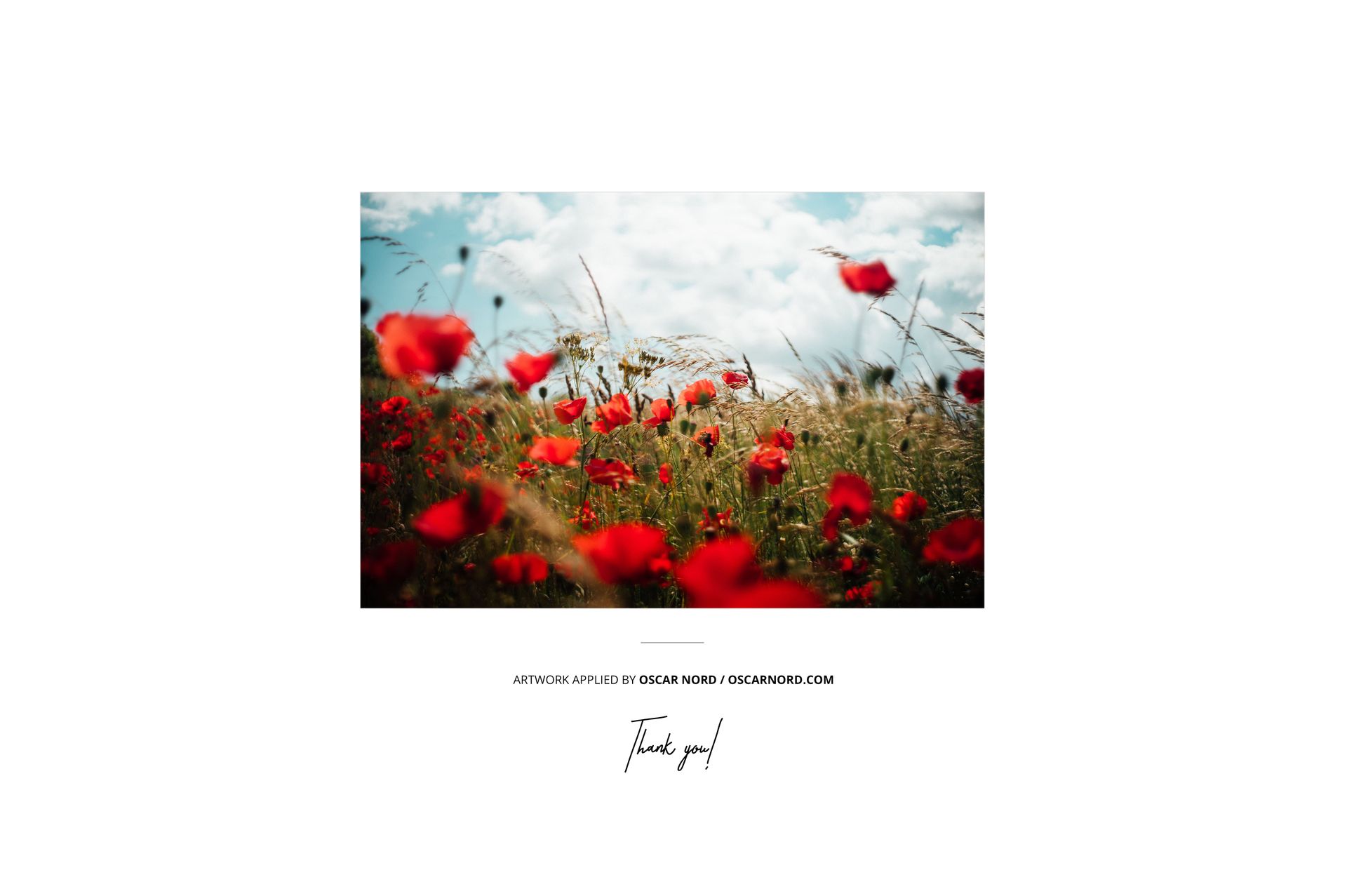 Front view of glossy acrylic print mockup showing red poppy flowers and tall grass under a partly cloudy sky.