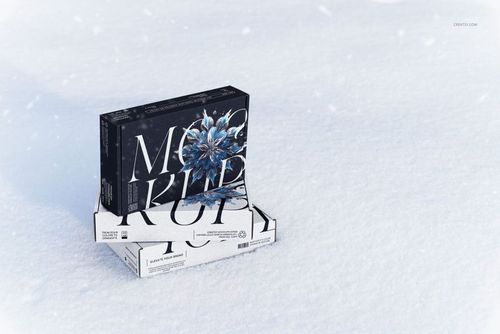 Two mailing box mockups, one dark with a blue flower and one white, arranged on snow in a winter scene, front view.