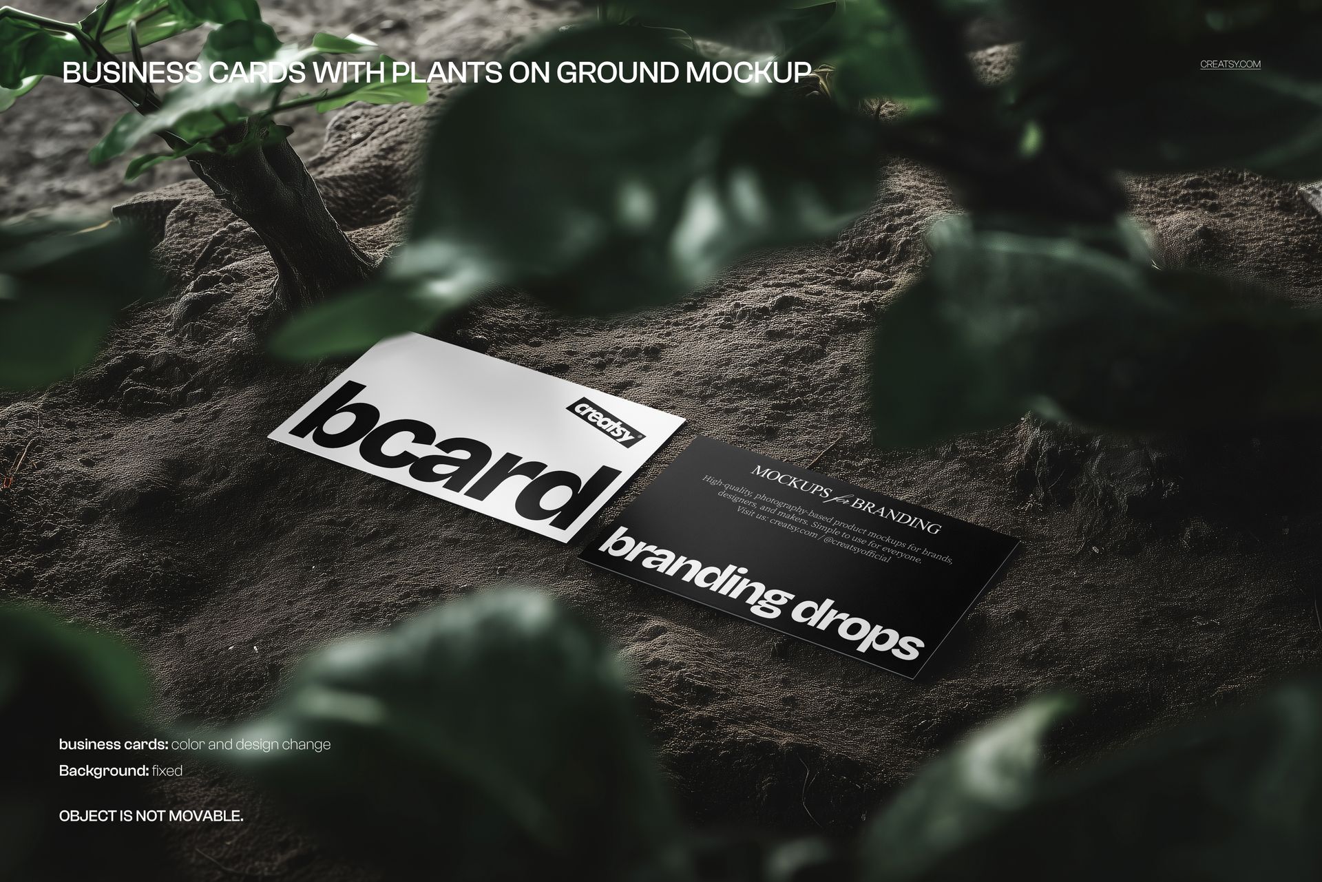 Two business cards lying on soil surrounded by green plant leaves, viewed from an angled perspective outdoors.
