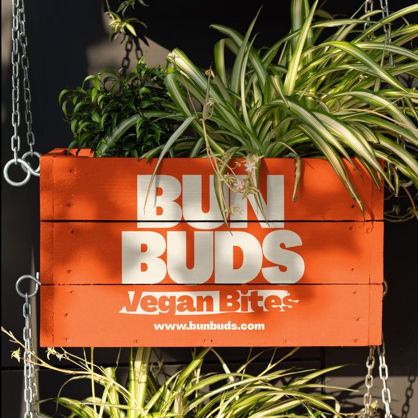 Wooden flower pot mockup featuring prominent white logo, leafy houseplants, and metal chain supports in an outdoor setting.