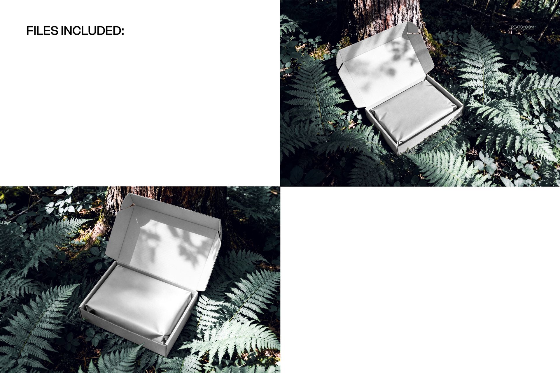 PSD mockup of an open mailing box resting among lush green ferns in a forest setting, viewed from above.
