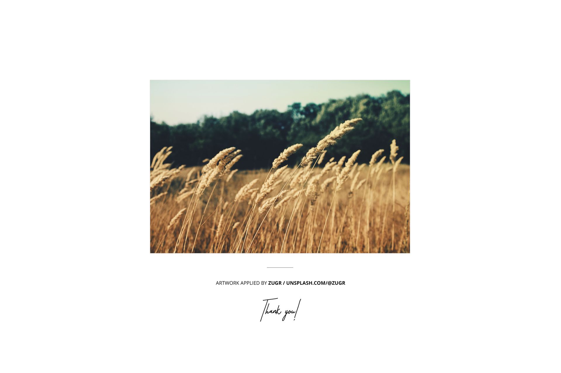 Close-up view of a print mockup featuring golden wheat stalks in a field with a blurred tree line background.