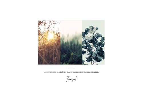 Front view of three color swatch mockups showing a golden field, dense forest, and black-and-white foliage on a white background.