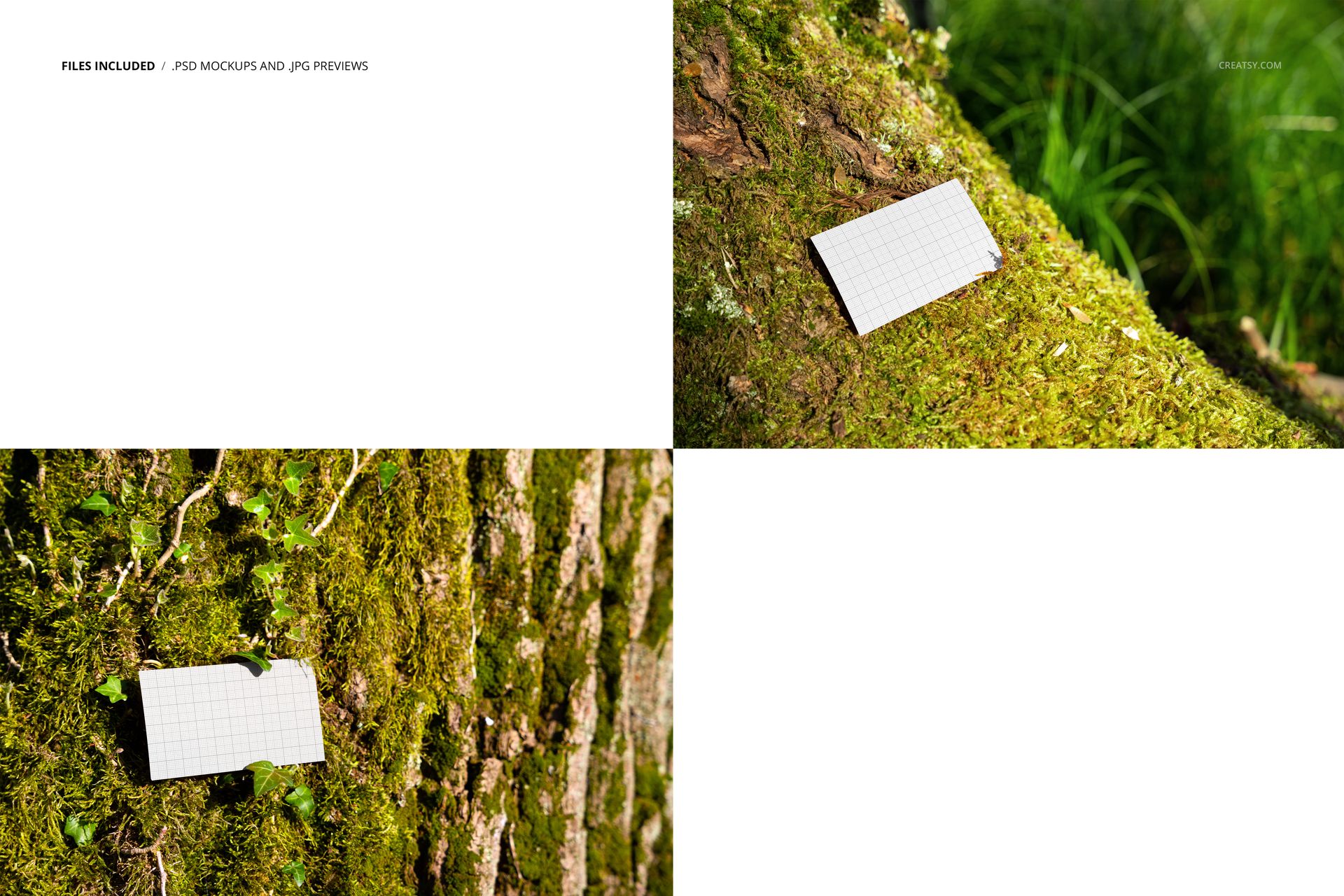 Business card mockup featuring a white grid design, displayed on green moss and tree trunk in a natural forest setting.