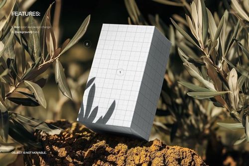 Mockup of a rectangular packaging box with a grid design, placed on textured rock with leafy branches around.