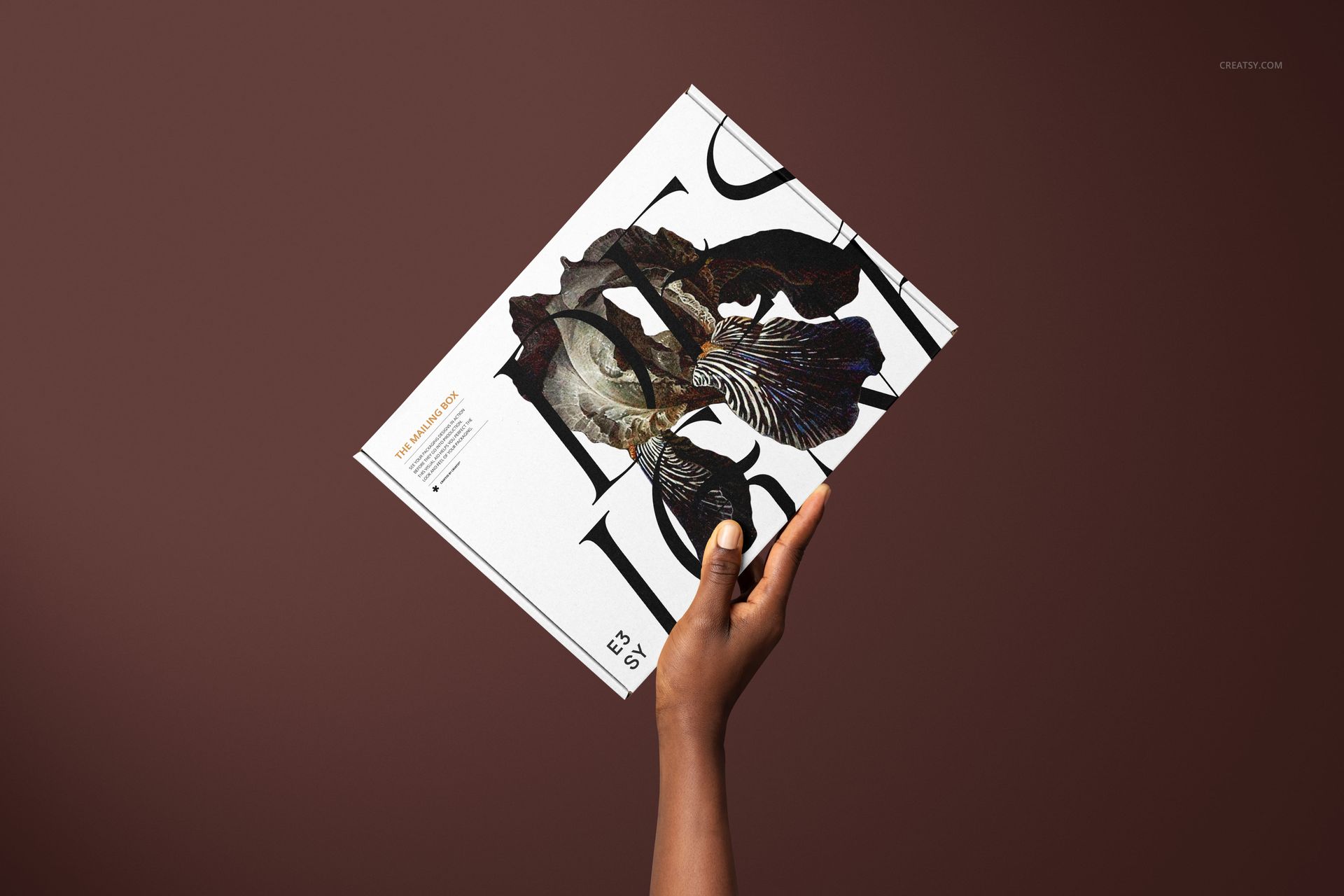 Mailing box mockup shown in hand against a brown backdrop, displaying artistic patterns and modern text on its surface.