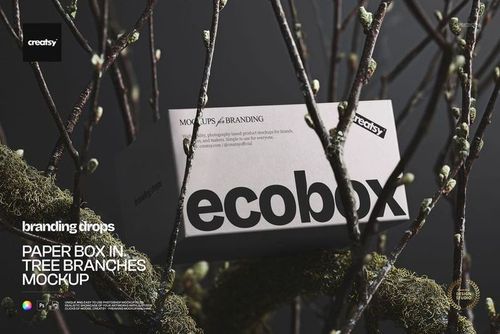 Rectangular paper box mockup displayed among tree branches, featuring a minimalist design and neutral colors.