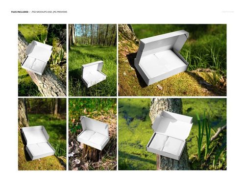 Mailing box mockup displayed in a forest setting, featuring a white rectangular box on mossy ground and tree trunks.