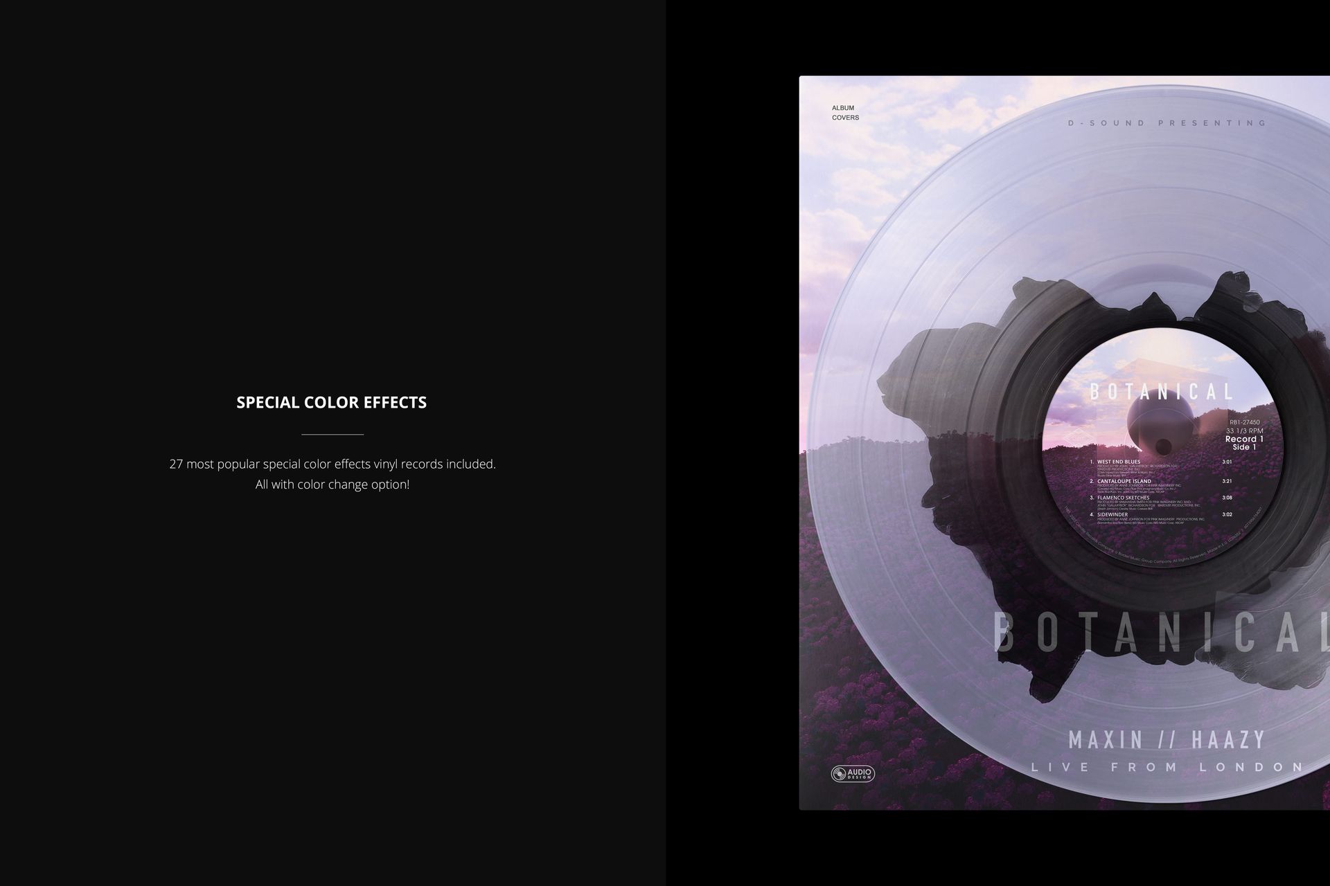 Top-down perspective of a transparent vinyl record and album cover mockup featuring a scenic landscape artwork.