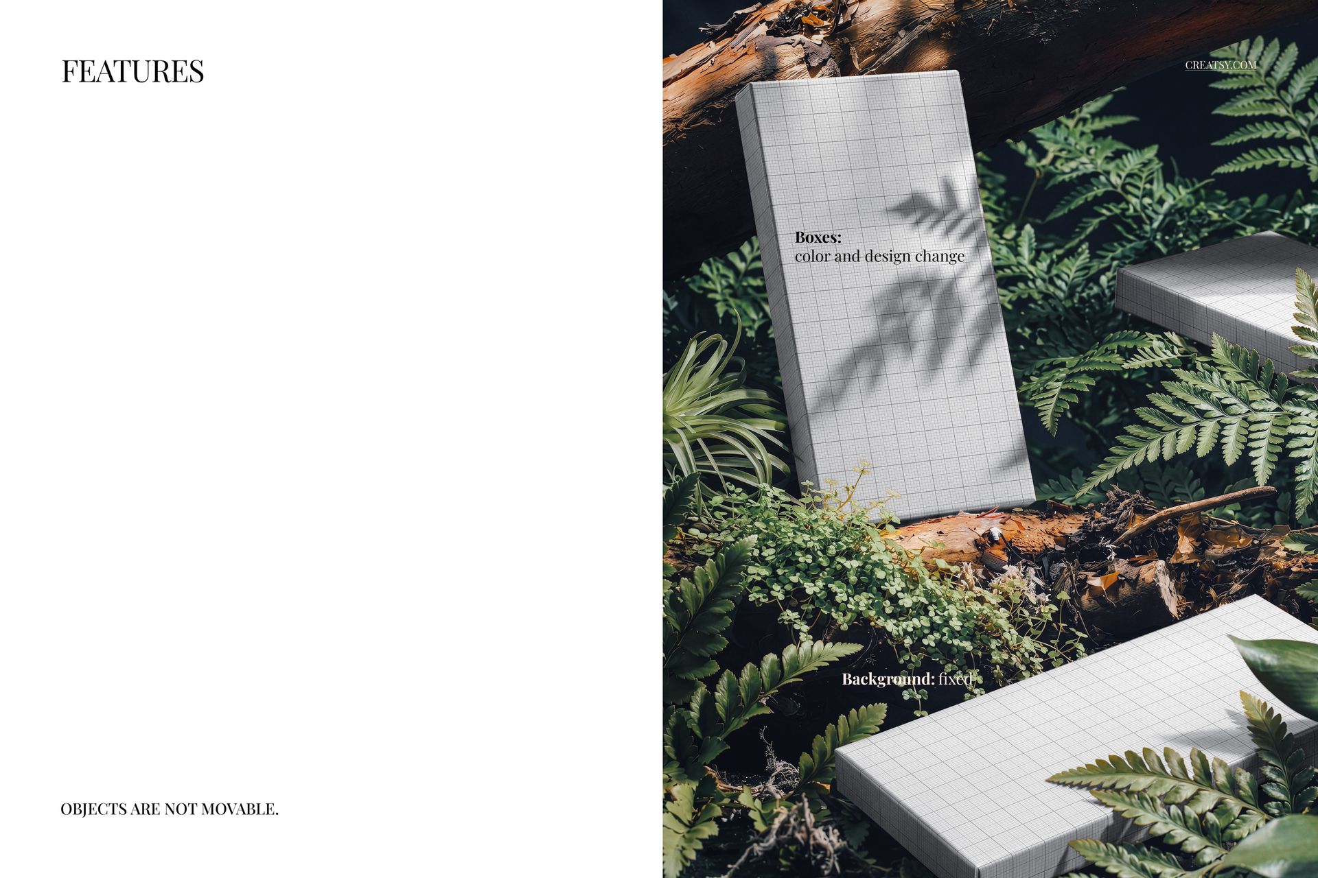 Rectangular chocolate box mockups with grid pattern placed among green ferns and logs in a forest setting.