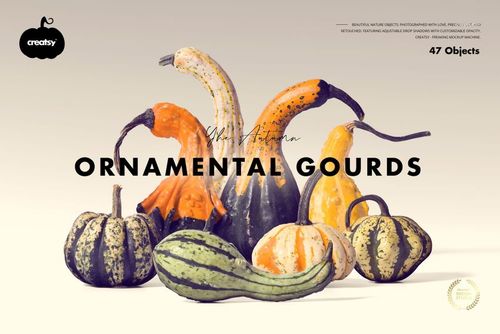 Ornamental Gourds Isolated Objects - mockup preview 1