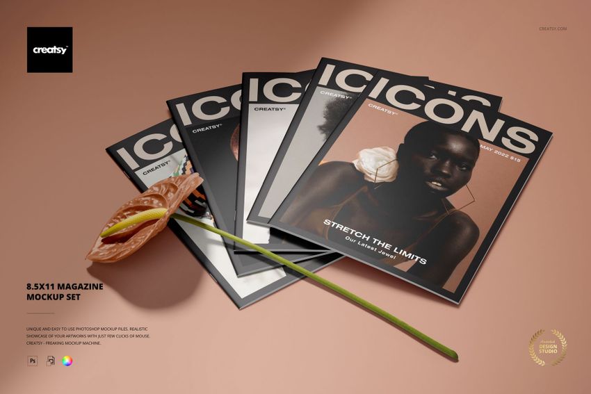 Fan arrangement of 8.5x11 magazine mockups on a neutral background, accented by a single pink anthurium flower.