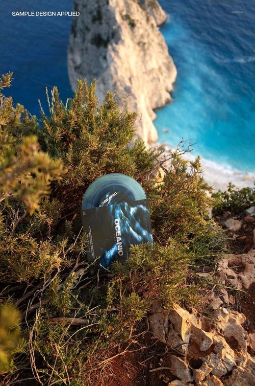 Translucent colored vinyl record mockup with coastal landscape cover, resting among green shrubs on a rocky cliff.