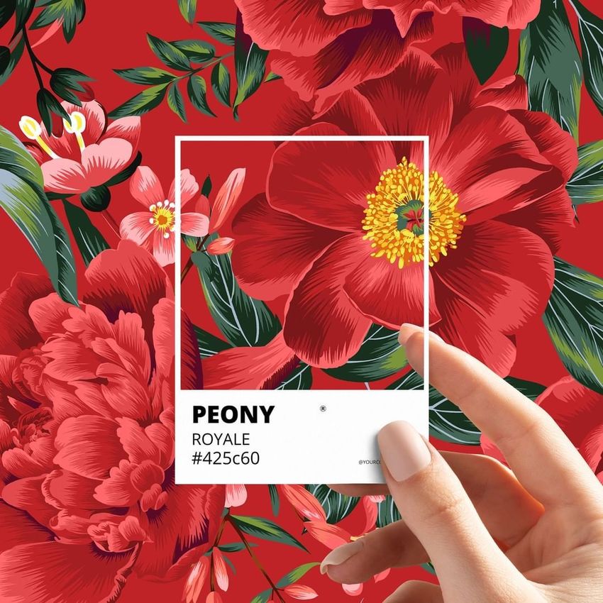 Peony Royale by Tashi Studio - Files in Use example