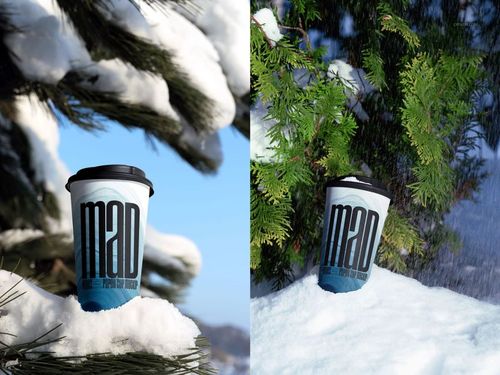 Winter-themed PSD mockup of a paper cup with black lid, placed in snowy pine tree setting under natural light.