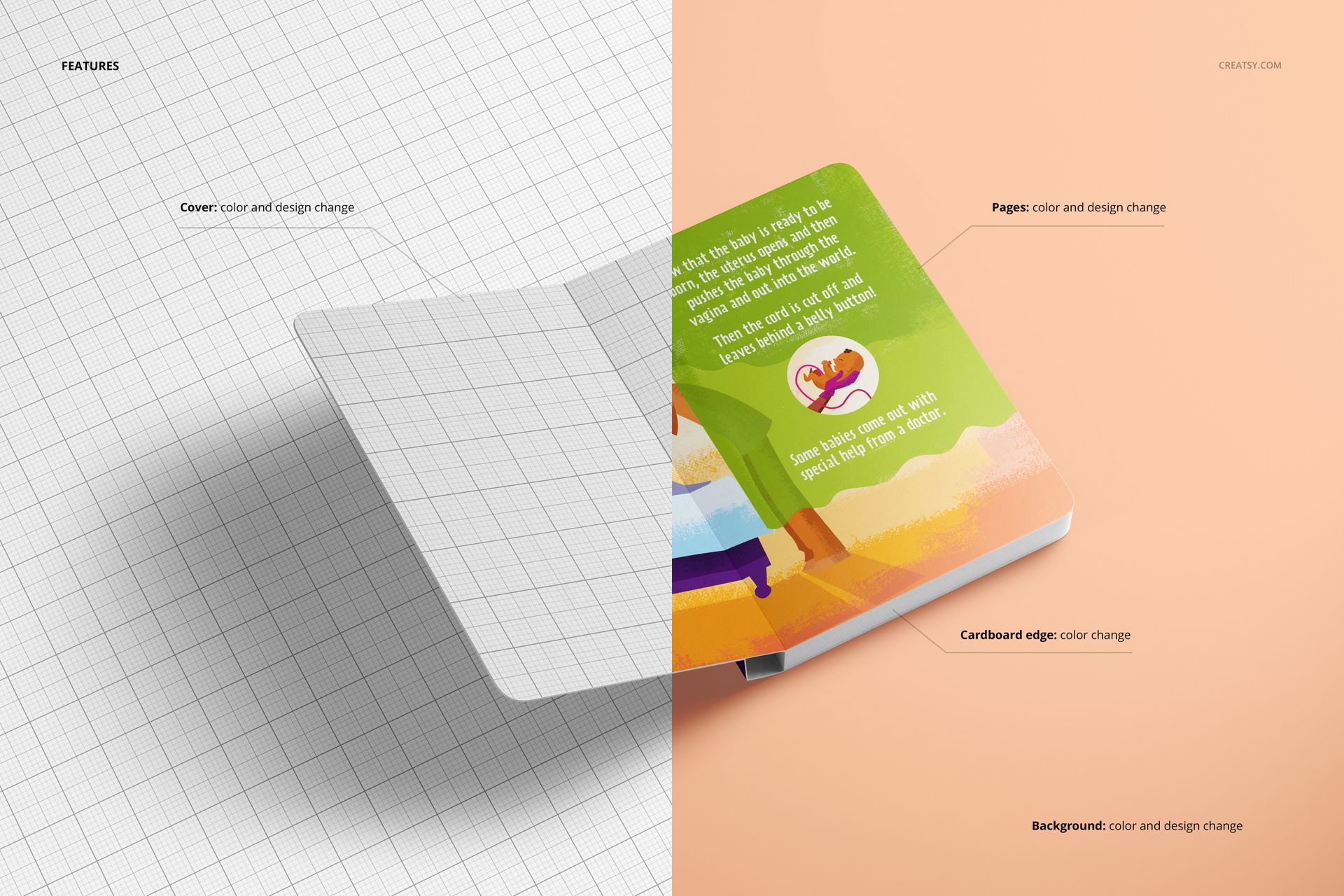 Open board book mockup displayed from an angled top view, showing blank cover on left and colorful pages on right.
