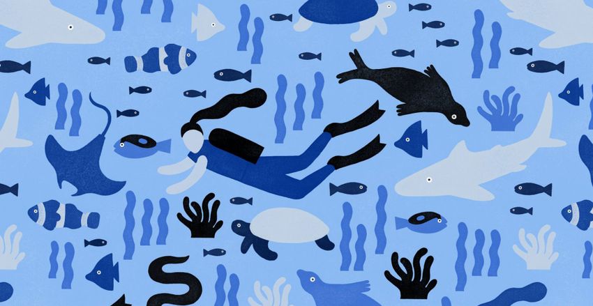 dive pattern melanie johnsson