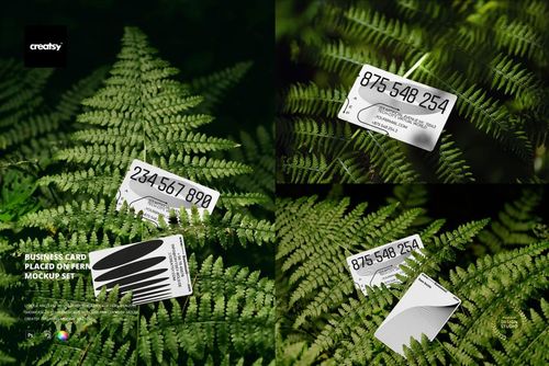 PSD mockup showing white business cards with bold black details displayed among natural green fern plants.