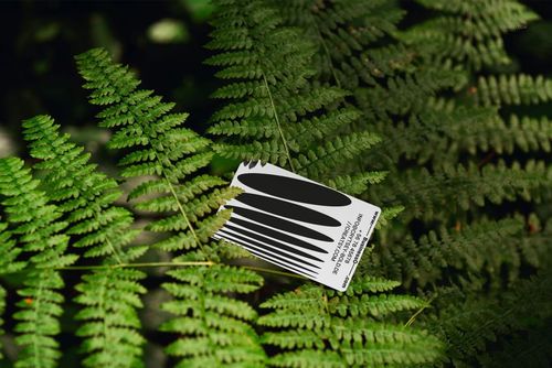 Mockup of a business card featuring bold black shapes, resting on vibrant green fern foliage in natural light.