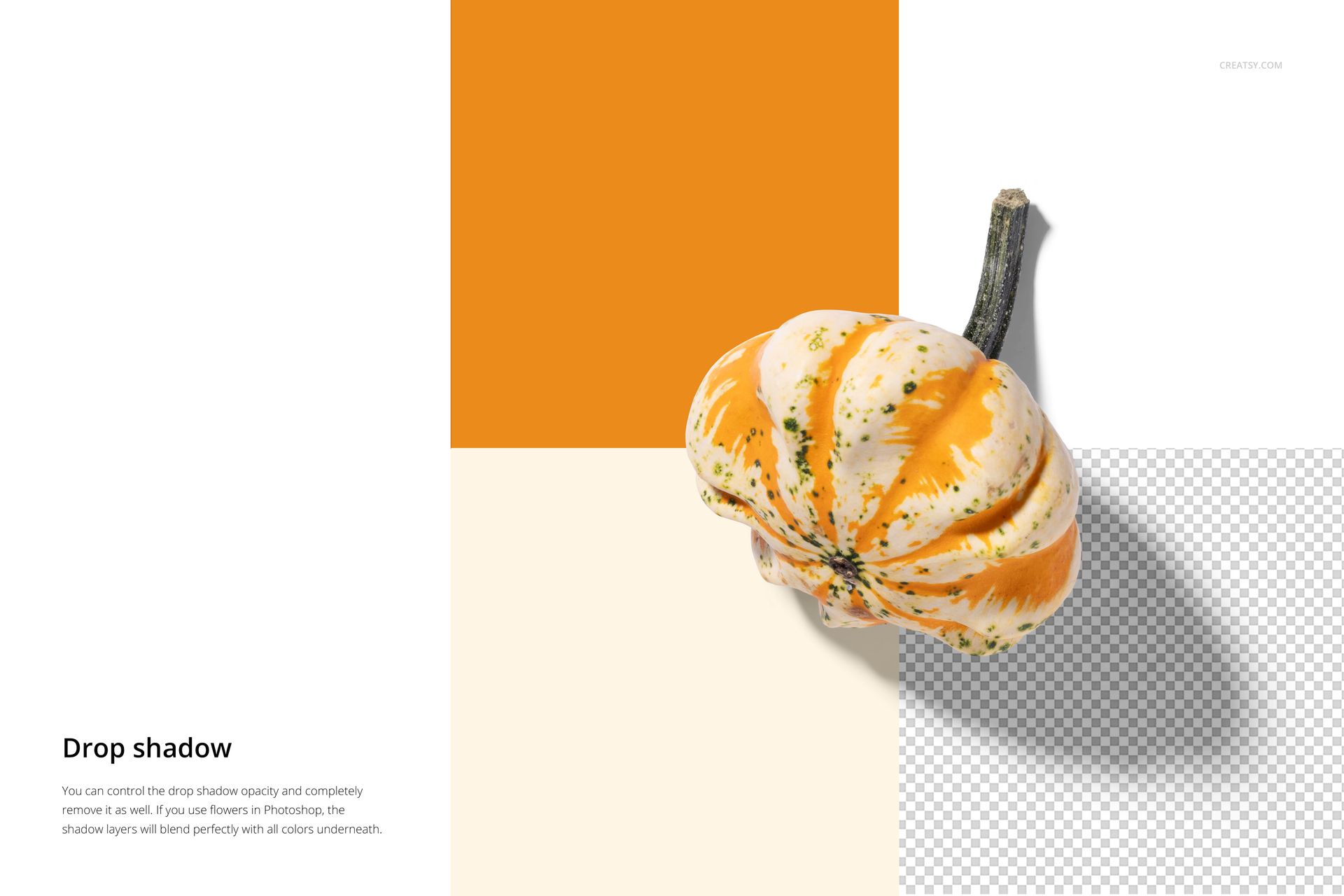 PSD mockup of a striped ornamental gourd on a split background with orange, cream, and transparent sections.