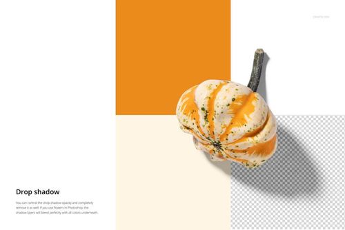 PSD mockup of a striped ornamental gourd on a split background with orange, cream, and transparent sections.