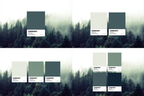 Paint swatch mockup featuring several rectangular cards in green and cream colors over a misty tree landscape.