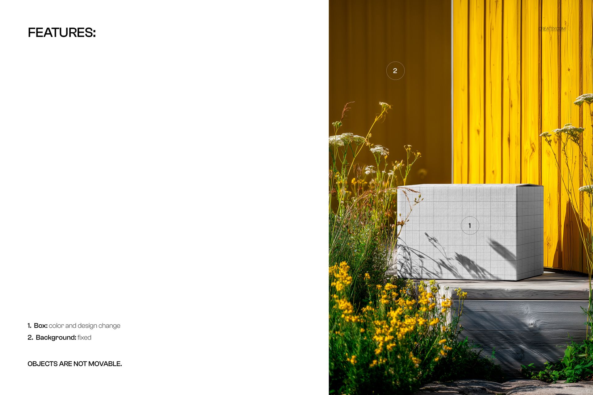 Rectangular shipping box mockup with grid pattern placed outdoors near yellow flowers and a yellow wall.